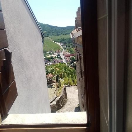 Rooms Serafin-Lavanda Motovun Bagian luar foto