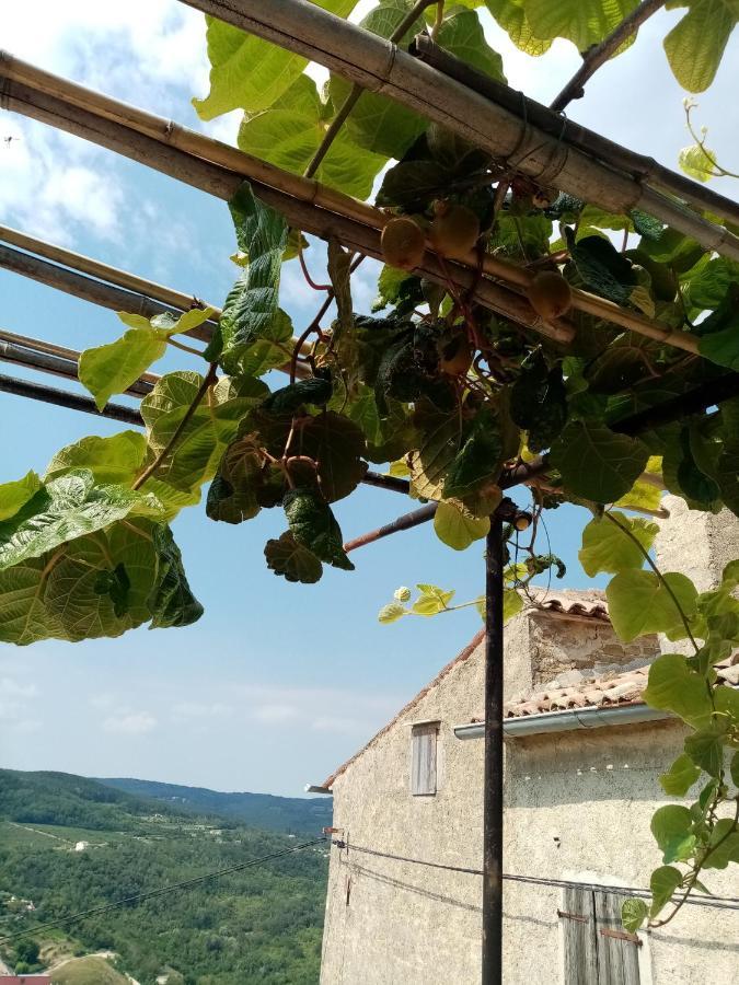 Rooms Serafin-Lavanda Motovun Bagian luar foto