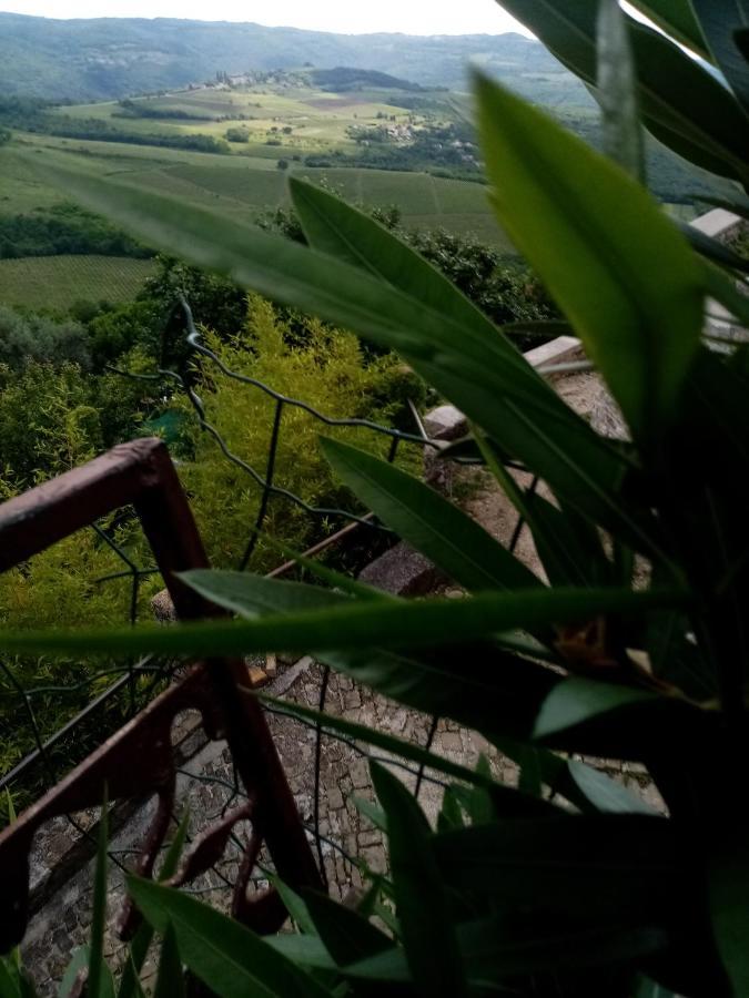 Rooms Serafin-Lavanda Motovun Bagian luar foto